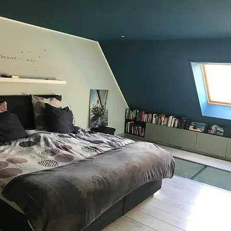 Maison Moderne Avec Sauna Et Bain Nordique