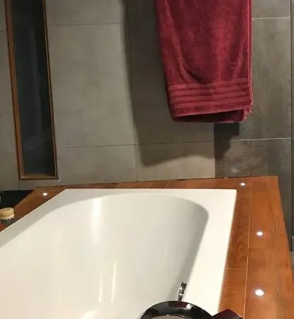 Maison Moderne Avec Sauna Et Bain Nordique Villa *